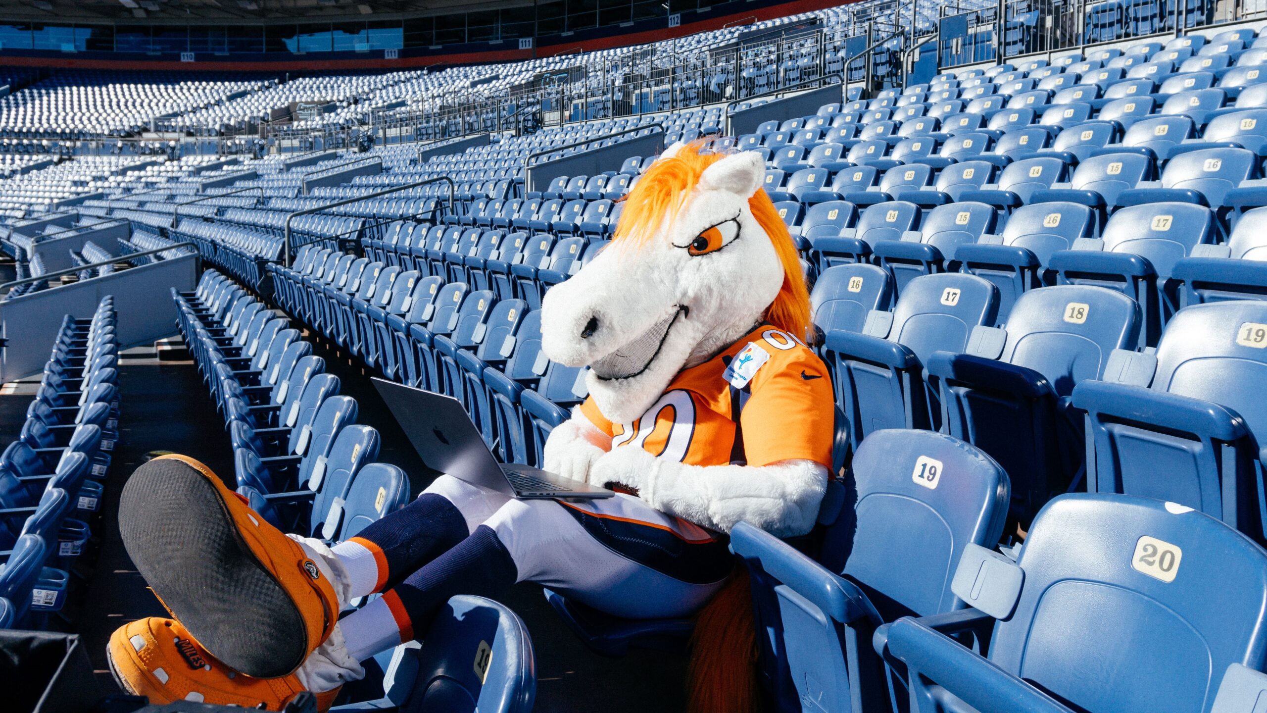Miles, the Denver Broncos mascot, using a laptop.
