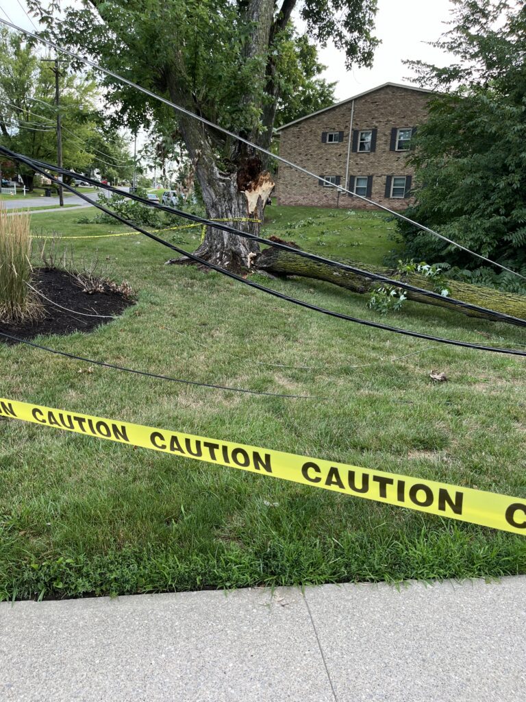 Storm damage